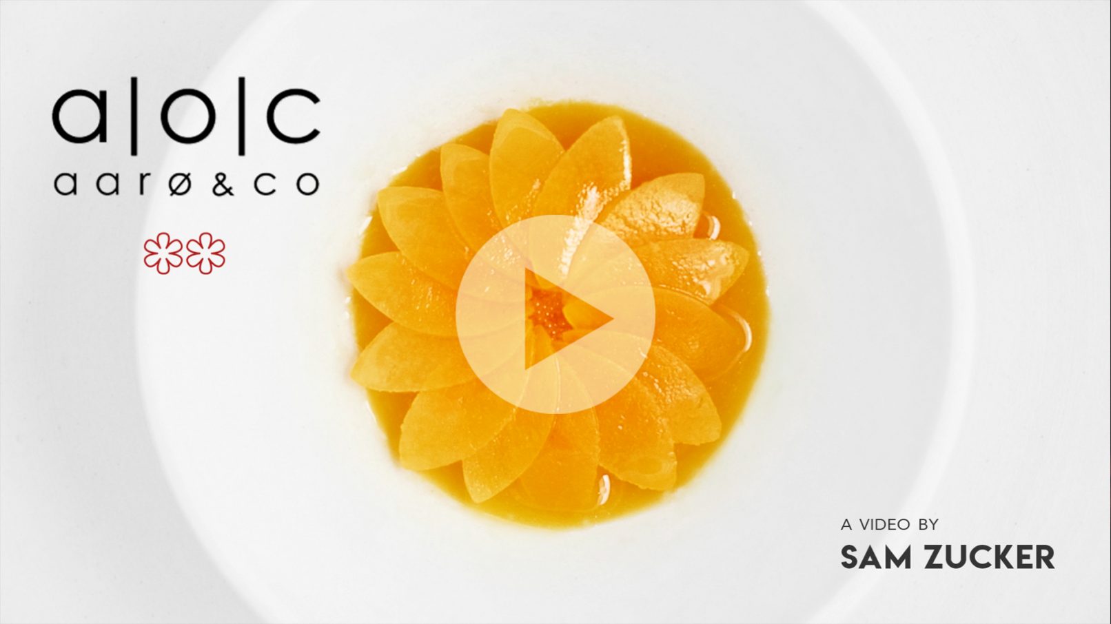 video filmmaker barcelona sam zucker